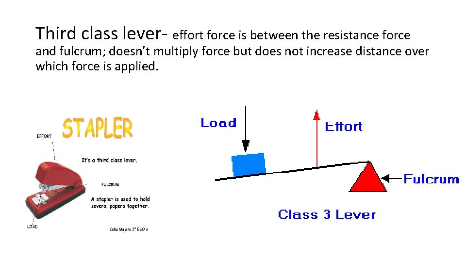 Third class lever- effort force is between the resistance force and fulcrum; doesn’t multiply