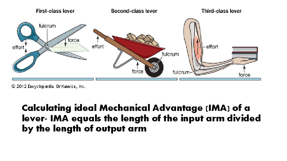 Calculating ideal Mechanical Advantage (IMA) of a lever- IMA equals the length of the
