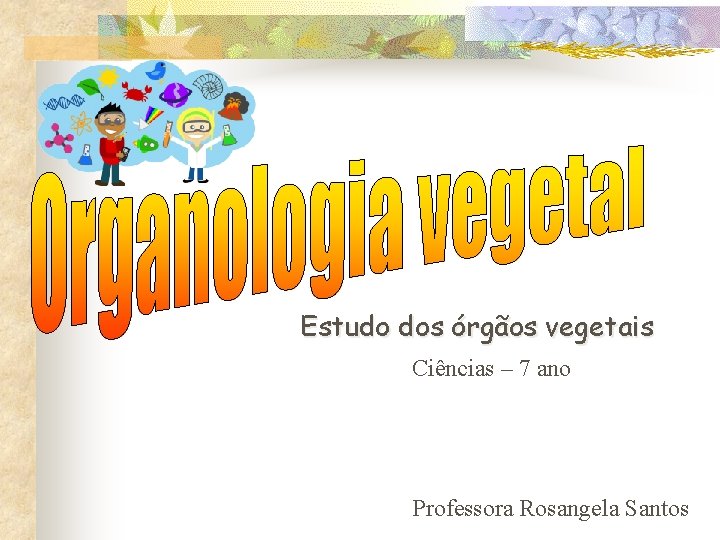 Estudo dos órgãos vegetais Ciências – 7 ano Professora Rosangela Santos 