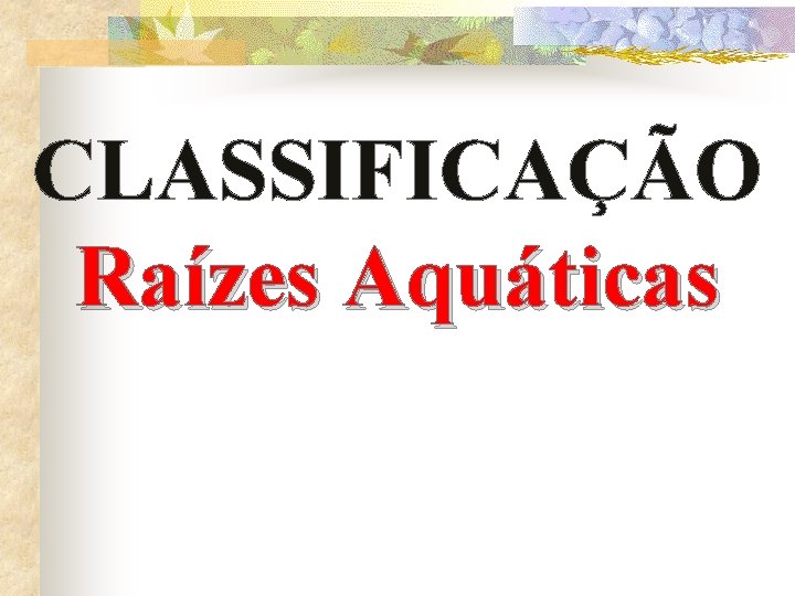 CLASSIFICAÇÃO Raízes Aquáticas 