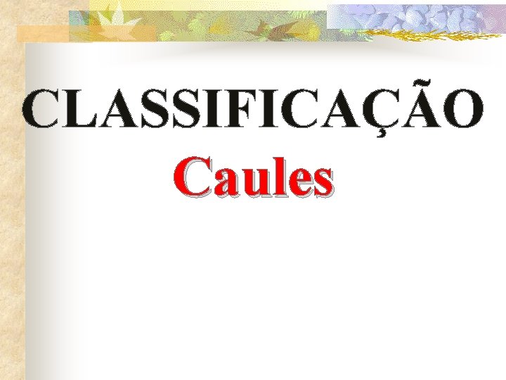 CLASSIFICAÇÃO Caules 