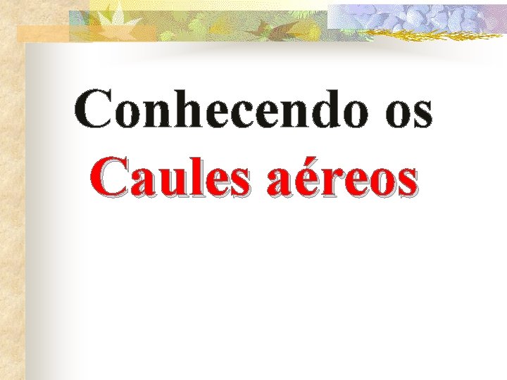 Conhecendo os Caules aéreos 