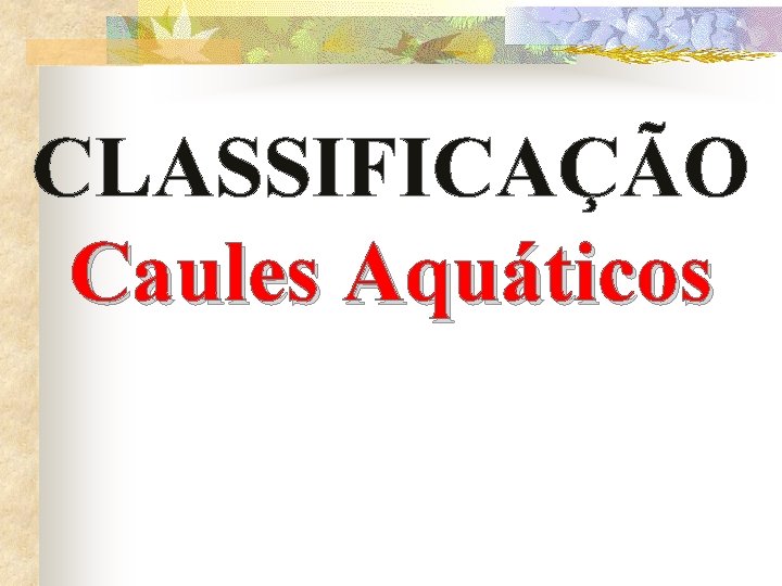 CLASSIFICAÇÃO Caules Aquáticos 