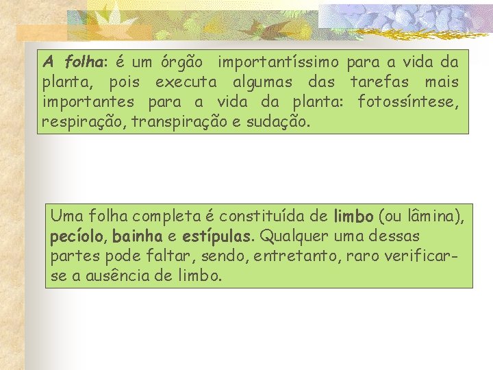 A folha: é um órgão importantíssimo para a vida da planta, pois executa algumas