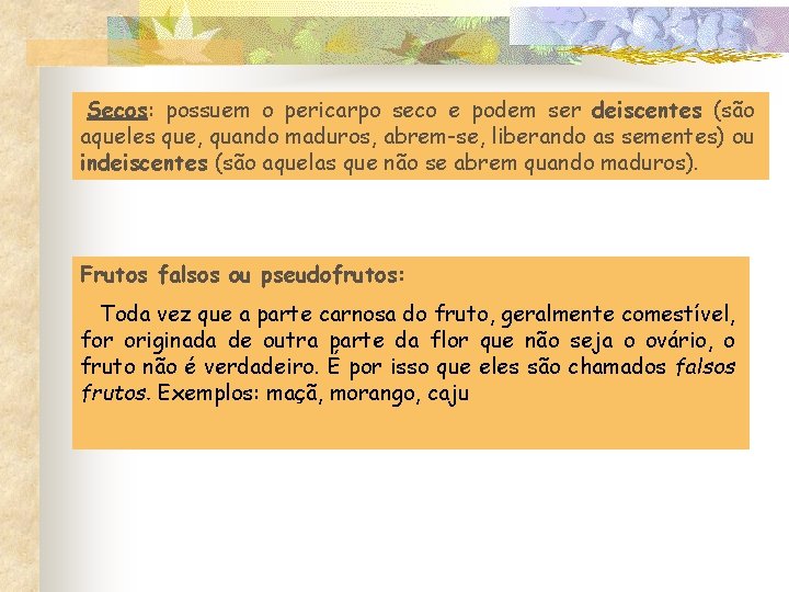  Secos: possuem o pericarpo seco e podem ser deiscentes (são aqueles que, quando