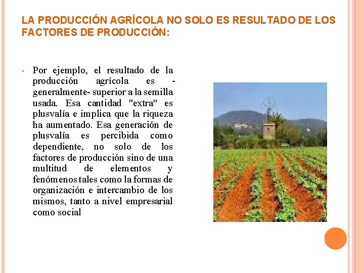 LA PRODUCCIÓN AGRÍCOLA NO SOLO ES RESULTADO DE LOS FACTORES DE PRODUCCIÓN: • Por