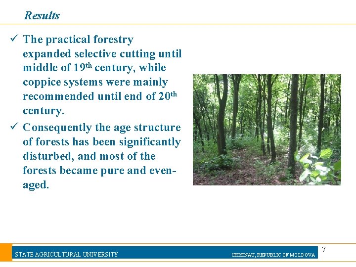 Results ü The practical forestry expanded selective cutting until middle of 19 th century,