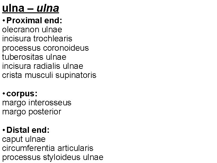 ulna – ulna • Proximal end: olecranon ulnae incisura trochlearis processus coronoideus tuberositas ulnae