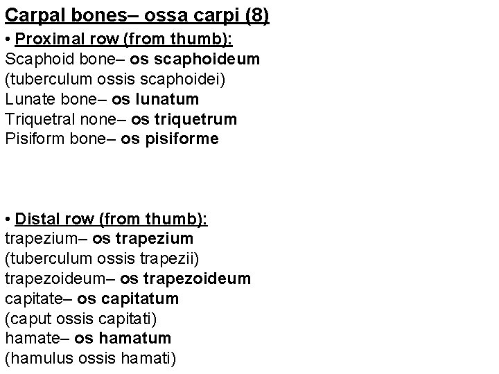 Carpal bones– ossa carpi (8) • Proximal row (from thumb): Scaphoid bone– os scaphoideum
