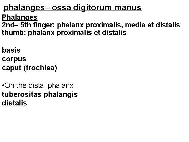 phalanges– ossa digitorum manus Phalanges 2 nd– 5 th finger: phalanx proximalis, media et