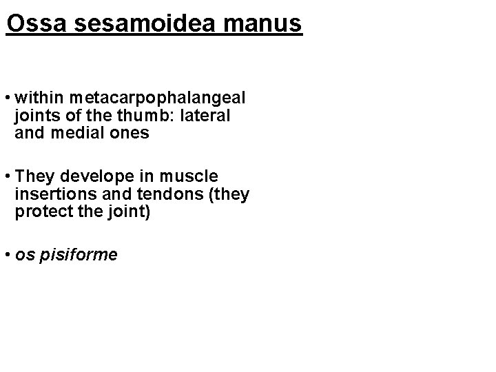 Ossa sesamoidea manus • within metacarpophalangeal joints of the thumb: lateral and medial ones