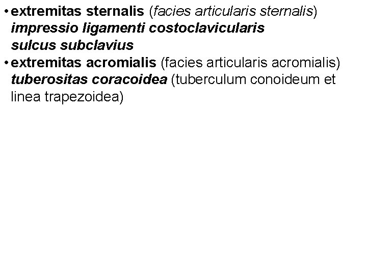  • extremitas sternalis (facies articularis sternalis) impressio ligamenti costoclavicularis sulcus subclavius • extremitas