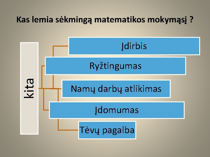 Kas lemia sėkmingą matematikos mokymąsį ? Įdirbis kita Ryžtingumas Namų darbų atlikimas Įdomumas Tėvų