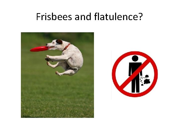 Frisbees and flatulence? 