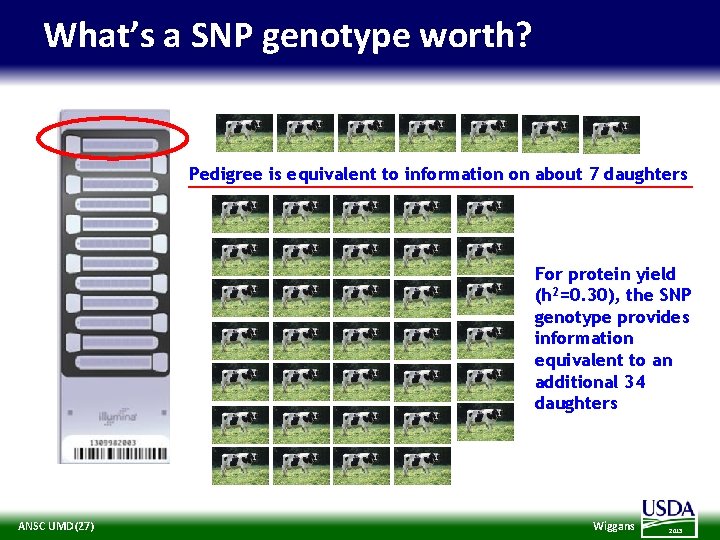 What’s a SNP genotype worth? Pedigree is equivalent to information on about 7 daughters