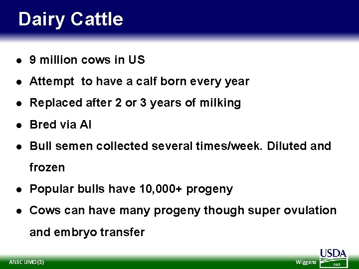 Dairy Cattle l 9 million cows in US l Attempt to have a calf