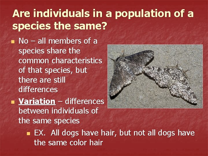 Are individuals in a population of a species the same? n n No –