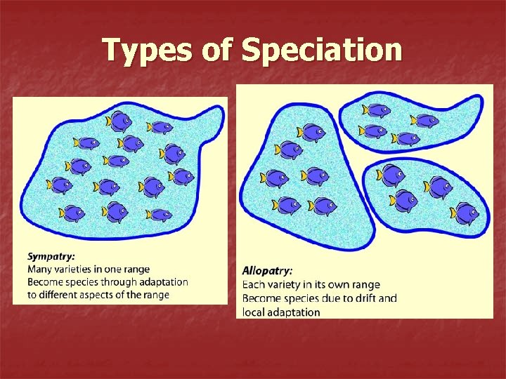 Types of Speciation 