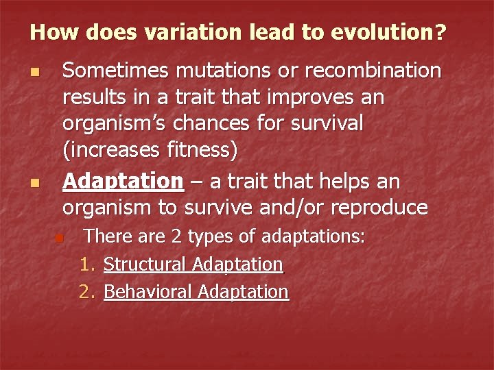 How does variation lead to evolution? n n Sometimes mutations or recombination results in