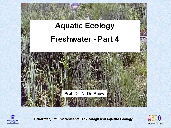Aquatic Ecology Freshwater - Part 4 Prof. Dr. N. De Pauw Laboratory of Environmental