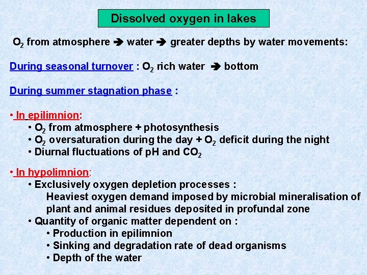 Dissolved oxygen in lakes O 2 from atmosphere water greater depths by water movements: