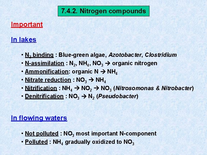 7. 4. 2. Nitrogen compounds Important In lakes • N 2 binding : Blue-green