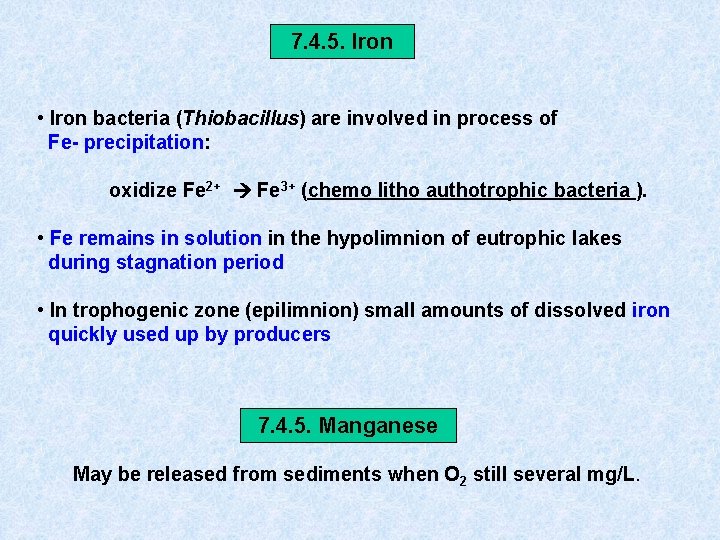 7. 4. 5. Iron • Iron bacteria (Thiobacillus) are involved in process of Fe-