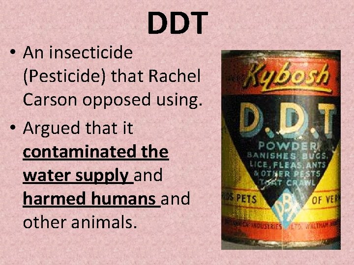 DDT • An insecticide (Pesticide) that Rachel Carson opposed using. • Argued that it DDT • An insecticide (Pesticide) that Rachel Carson opposed using. • Argued that it