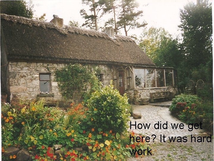 How did we get here? It was hard work Sally Millar Midwife 16 