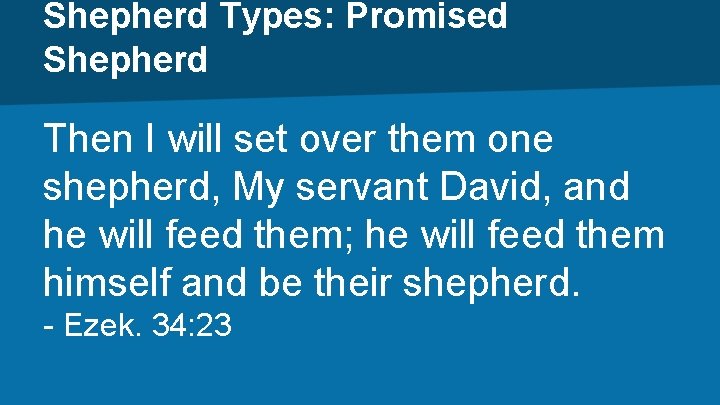 Shepherd Types: Promised Shepherd Then I will set over them one shepherd, My servant