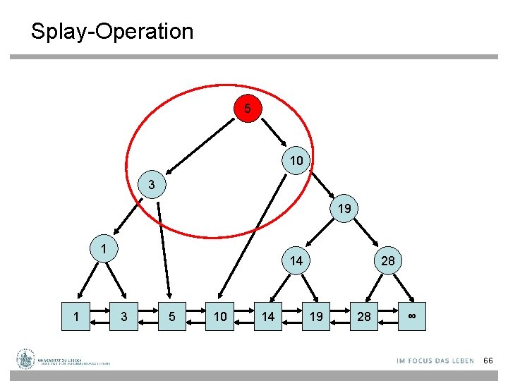 Splay-Operation 5 10 3 19 1 1 14 3 5 10 14 28 19