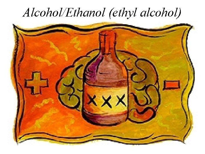 Alcohol/Ethanol (ethyl alcohol) 