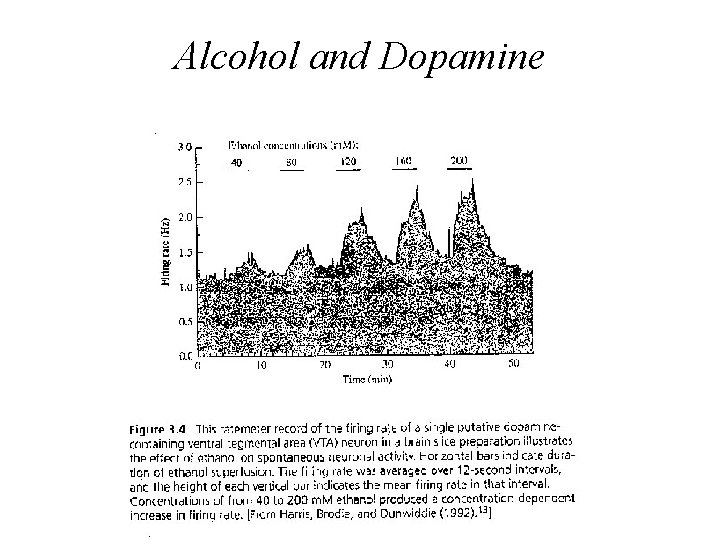 Alcohol and Dopamine 