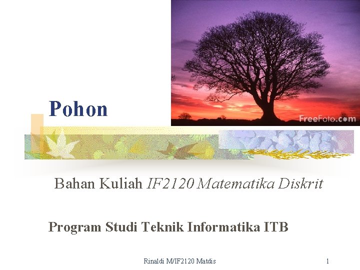 Pohon Bahan Kuliah IF 2120 Matematika Diskrit Program Studi Teknik Informatika ITB Rinaldi M/IF