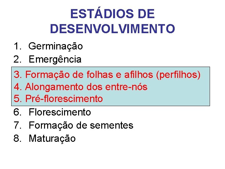 ESTÁDIOS DE DESENVOLVIMENTO 1. Germinação 2. Emergência 3. Formaçãode defolhaseeafilhos(perfilhos) 3. Formação 4. Alongamentodos