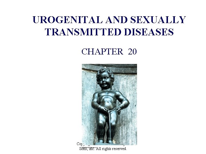 UROGENITAL AND SEXUALLY TRANSMITTED DISEASES CHAPTER 20 Copyright © 2012 John Wiley & Sons,