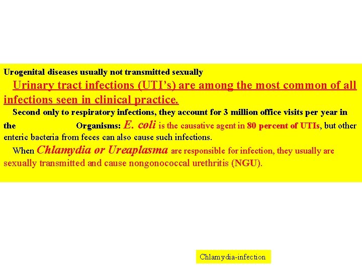 Urogenital diseases usually not transmitted sexually Urinary tract infections (UTI’s) are among the most