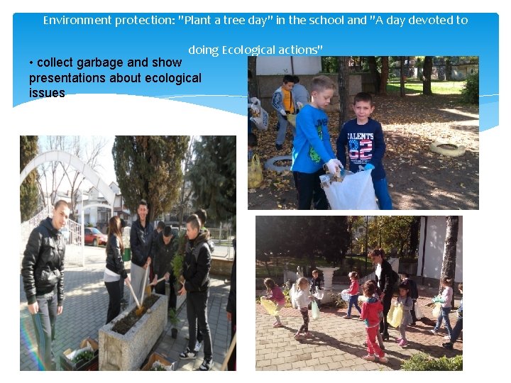 Environment protection: "Plant a tree day" in the school and "A day devoted to
