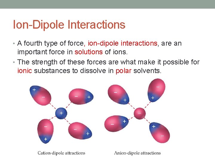 Ion-Dipole Interactions • A fourth type of force, ion-dipole interactions, are an important force Ion-Dipole Interactions • A fourth type of force, ion-dipole interactions, are an important force