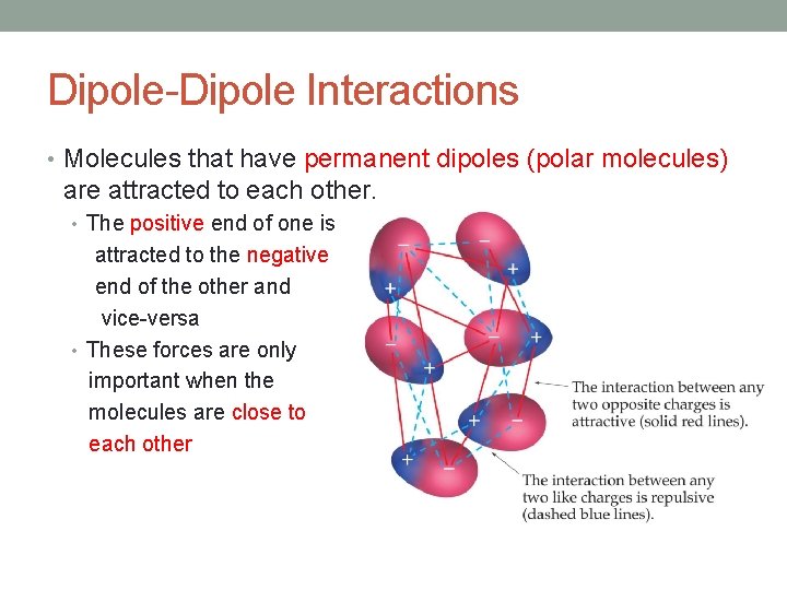 Dipole-Dipole Interactions • Molecules that have permanent dipoles (polar molecules) are attracted to each Dipole-Dipole Interactions • Molecules that have permanent dipoles (polar molecules) are attracted to each