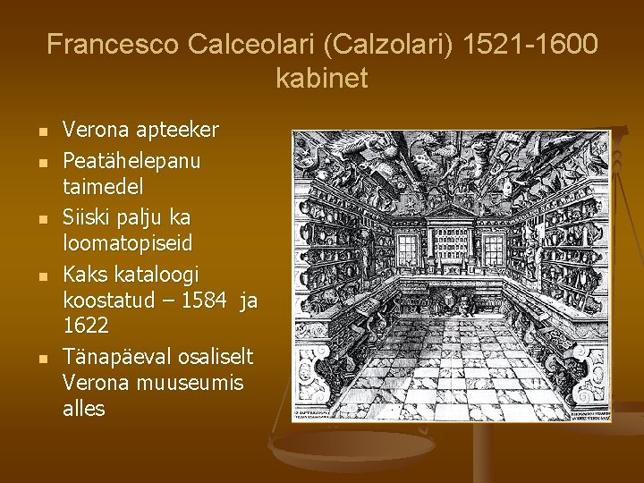 Francesco Calceolari (Calzolari) 1521 -1600 kabinet n n n Verona apteeker Peatähelepanu taimedel Siiski