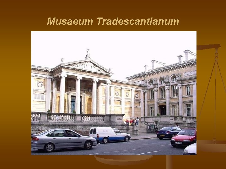 Musaeum Tradescantianum Musaeum Tradescantianum