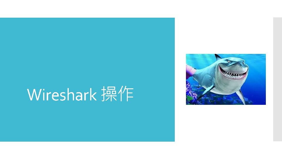 Wireshark 操作 