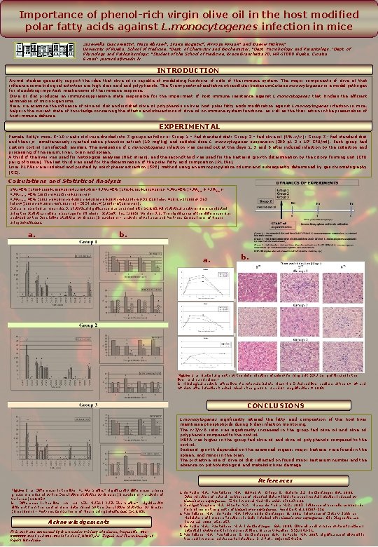 Importance of phenol-rich virgin olive oil in the host modified polar fatty acids against