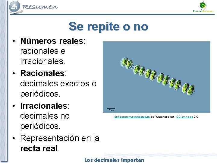 Se repite o no • Números reales: racionales e irracionales. • Racionales: decimales exactos