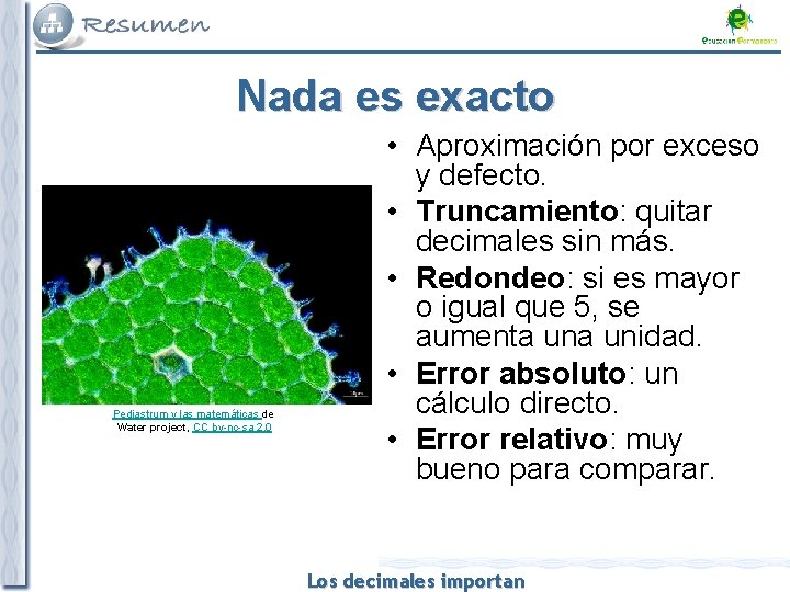 Nada es exacto Pediastrum y las matemáticas de Water project, CC by-nc-sa 2. 0