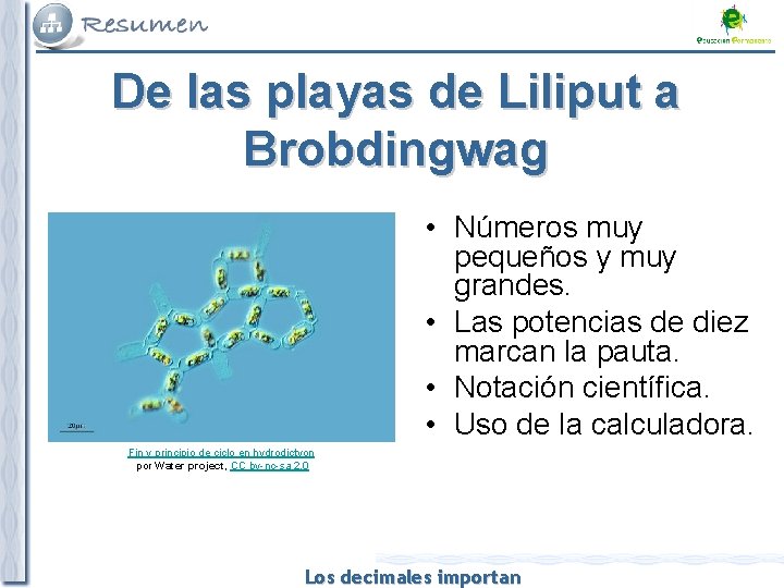 De las playas de Liliput a Brobdingwag • Números muy pequeños y muy grandes.