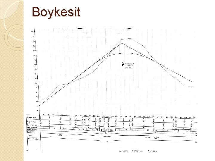 Boykesit 
