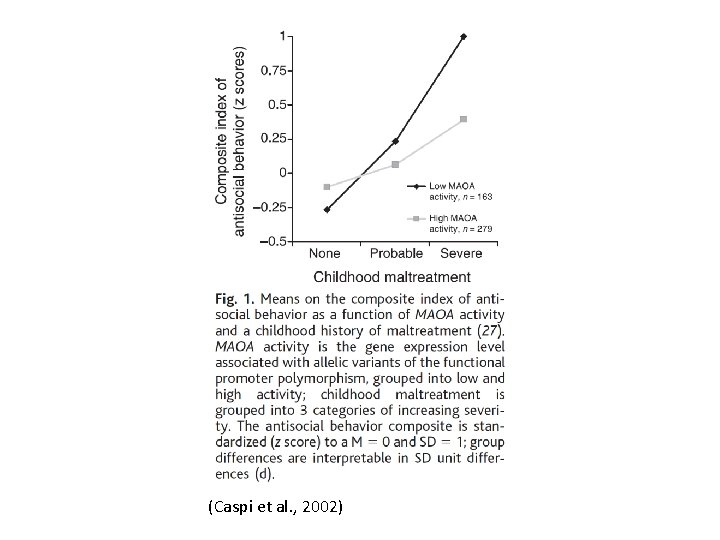 (Caspi et al. , 2002) 