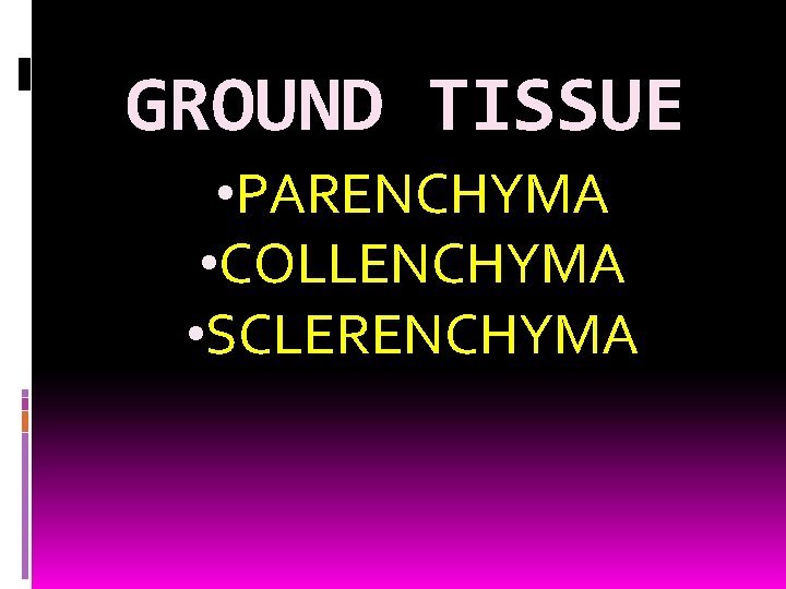 GROUND TISSUE • PARENCHYMA • COLLENCHYMA • SCLERENCHYMA 